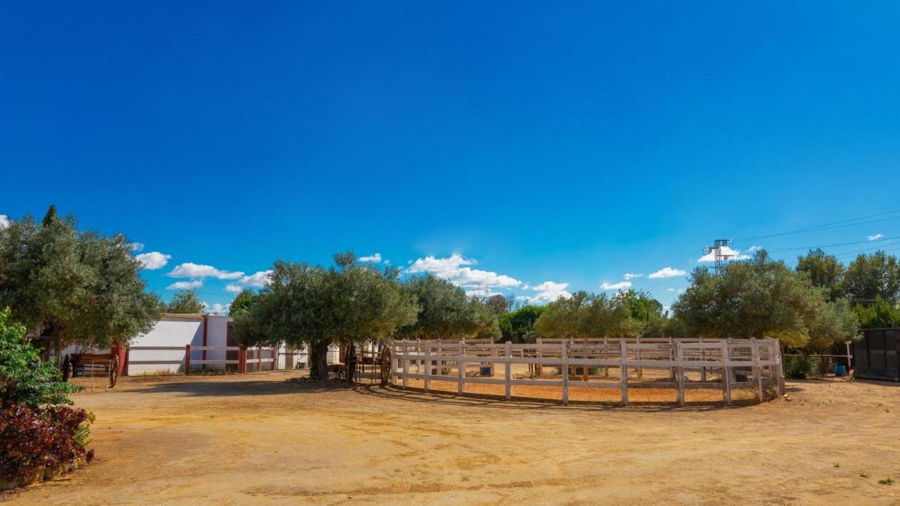 Finca La Canera Alcala De Guadaira By Ruralidays Luaran gambar